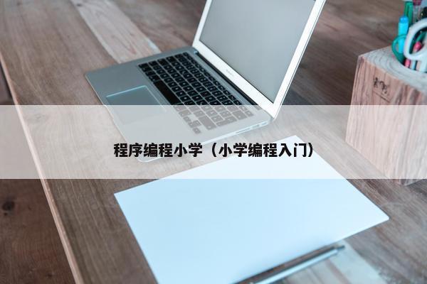程序编程小学（小学编程入门）