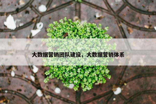 大数据营销团队建设，大数据营销体系
