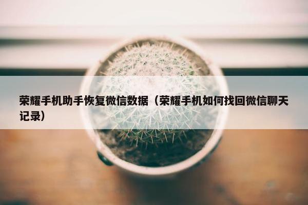 荣耀手机助手恢复微信数据（荣耀手机如何找回微信聊天记录）