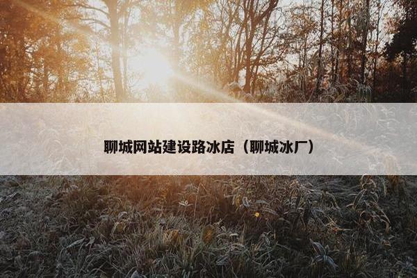 聊城网站建设路冰店（聊城冰厂）