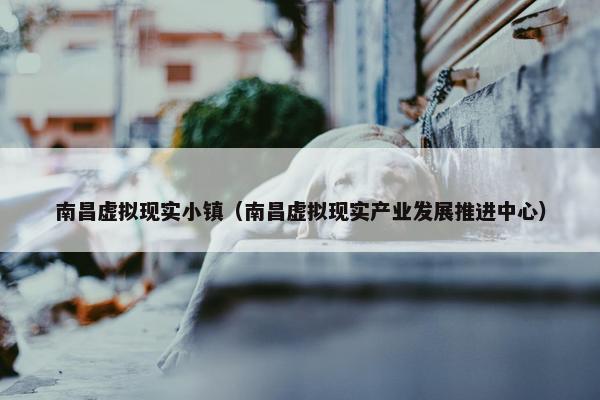 南昌虚拟现实小镇（南昌虚拟现实产业发展推进中心）