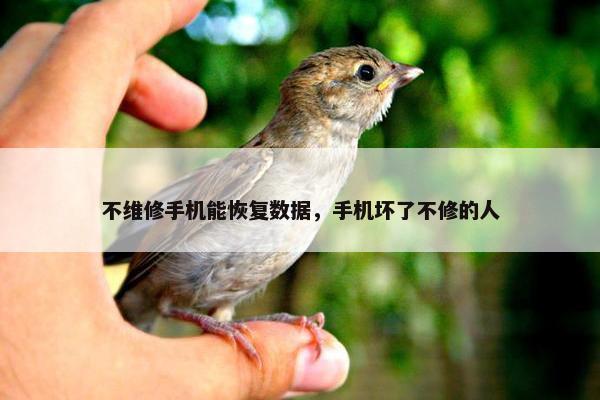 不维修手机能恢复数据，手机坏了不修的人