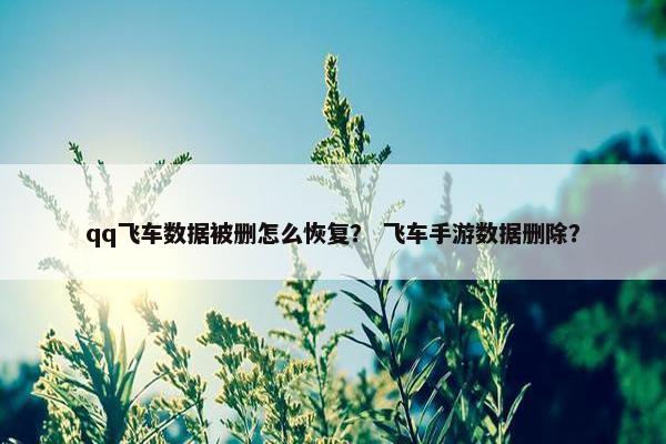qq飞车数据被删怎么恢复？ 飞车手游数据删除？