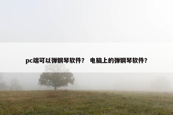 pc端可以弹钢琴软件？ 电脑上的弹钢琴软件？