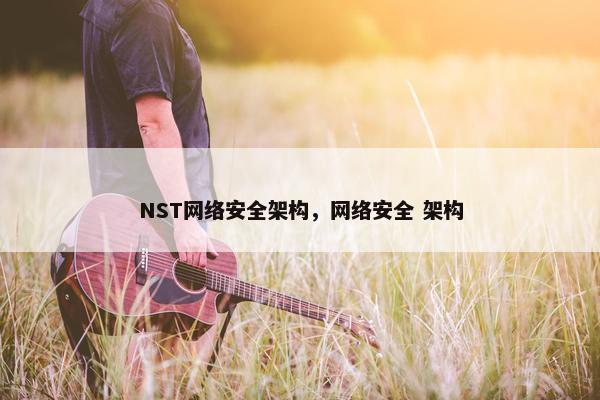 NST网络安全架构，网络安全 架构