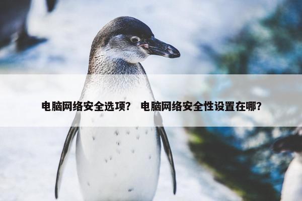 电脑网络安全选项？ 电脑网络安全性设置在哪？