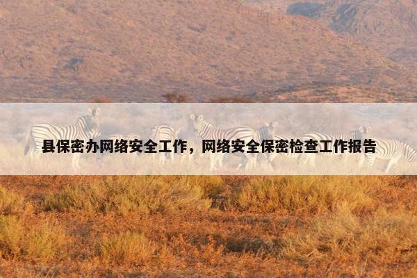 县保密办网络安全工作，网络安全保密检查工作报告