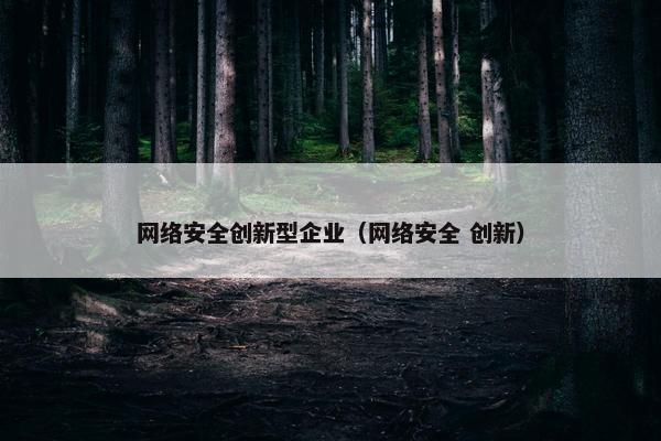 网络安全创新型企业（网络安全 创新）