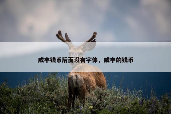 咸丰钱币后面没有字体，咸丰的钱币