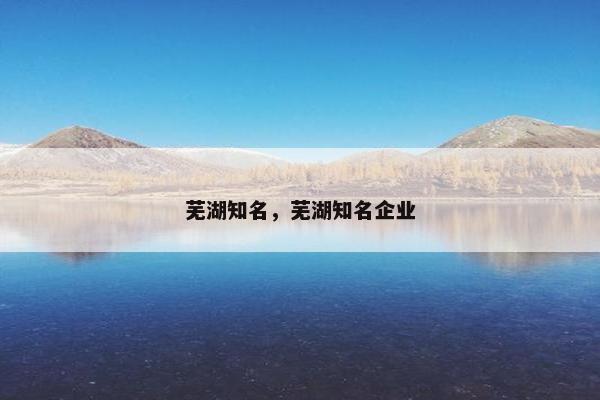 芜湖知名，芜湖知名企业