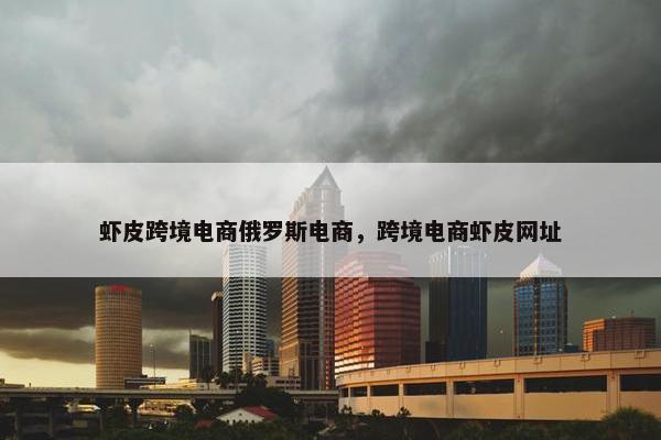 虾皮跨境电商俄罗斯电商，跨境电商虾皮网址