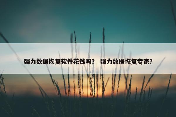 强力数据恢复软件花钱吗？ 强力数据恢复专家？