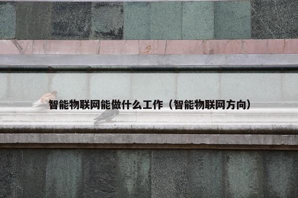智能物联网能做什么工作（智能物联网方向）