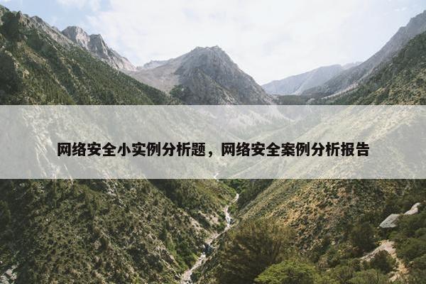 网络安全小实例分析题，网络安全案例分析报告