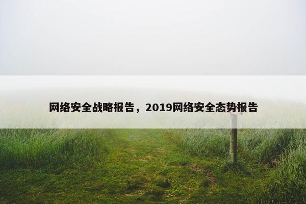 网络安全战略报告，2019网络安全态势报告