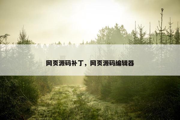 网页源码补丁，网页源码编辑器