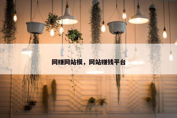 网赚网站模，网站赚钱平台