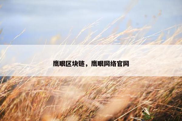 鹰眼区块链，鹰眼网络官网