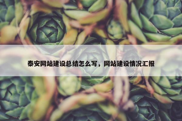 泰安网站建设总结怎么写，网站建设情况汇报