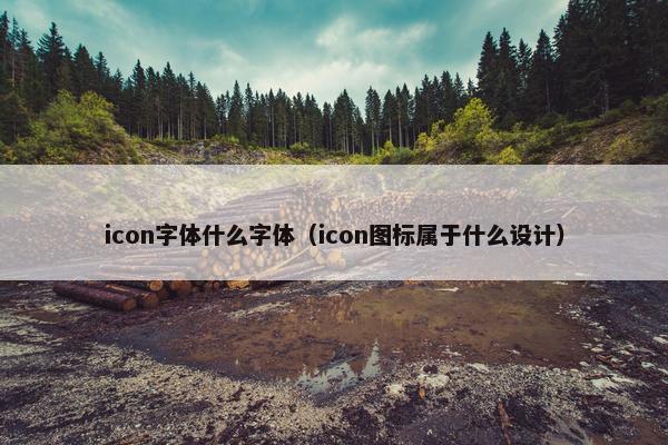 icon字体什么字体（icon图标属于什么设计）