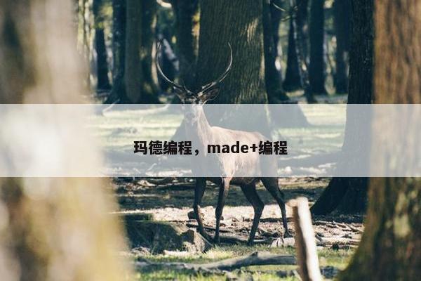 玛德编程，made+编程