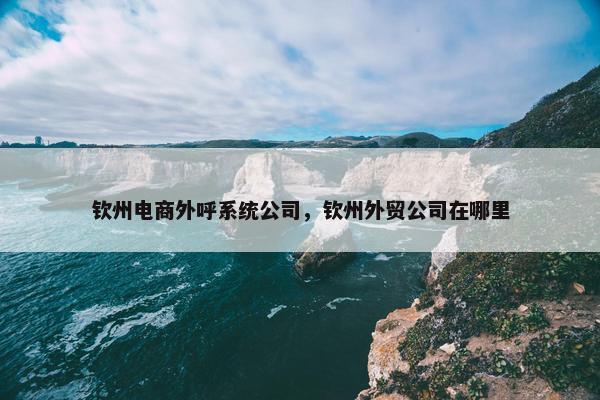 钦州电商外呼系统公司，钦州外贸公司在哪里