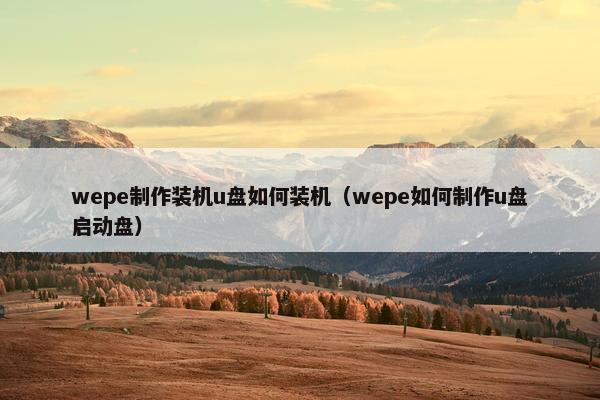 wepe制作装机u盘如何装机（wepe如何制作u盘启动盘）