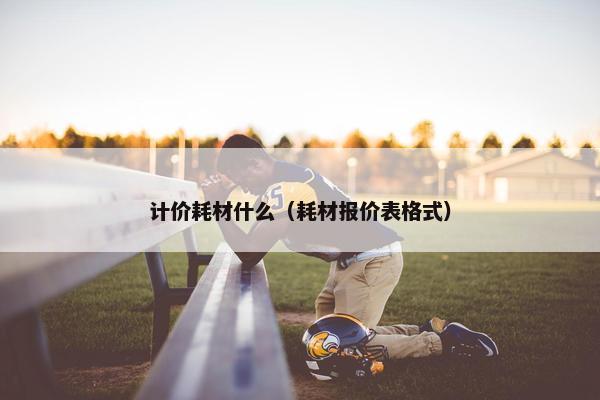 计价耗材什么（耗材报价表格式）