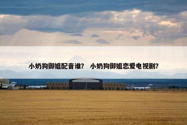 小奶狗御姐配音谁？ 小奶狗御姐恋爱电视剧？