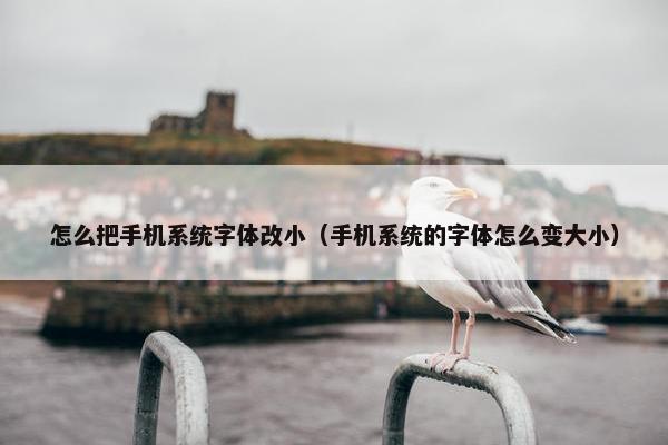 怎么把手机系统字体改小（手机系统的字体怎么变大小）