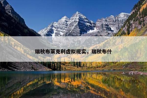 瑞秋布莱克利虚拟现实，瑞秋布什