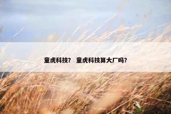 童虎科技？ 童虎科技算大厂吗？