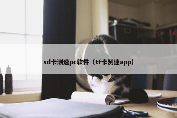 sd卡测速pc软件（tf卡测速app）
