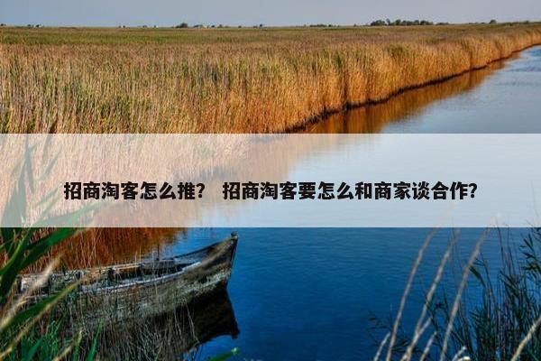 招商淘客怎么推？ 招商淘客要怎么和商家谈合作？