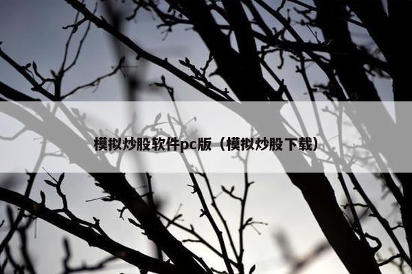 模拟炒股软件pc版（模拟炒股下载）