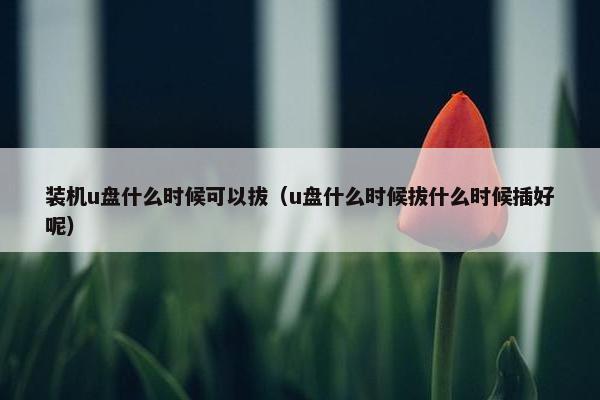 装机u盘什么时候可以拔（u盘什么时候拔什么时候插好呢）