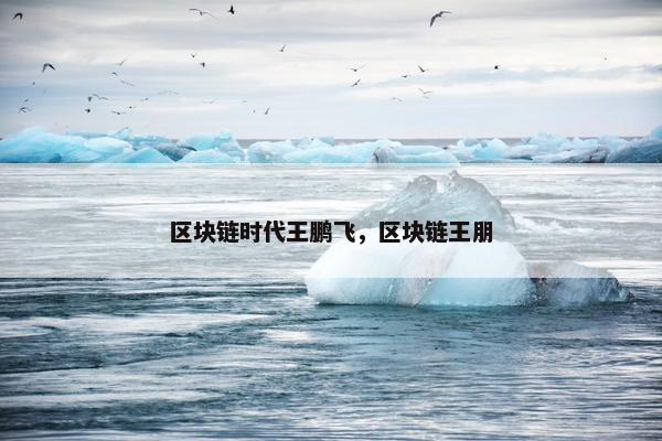 区块链时代王鹏飞，区块链王朋
