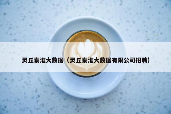 灵丘秦淮大数据（灵丘秦淮大数据有限公司招聘）