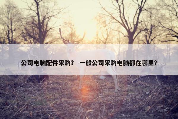 公司电脑配件采购？ 一般公司采购电脑都在哪里？