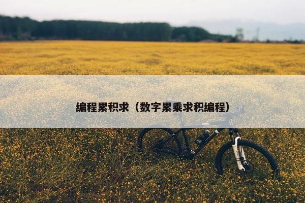 编程累积求（数字累乘求积编程）