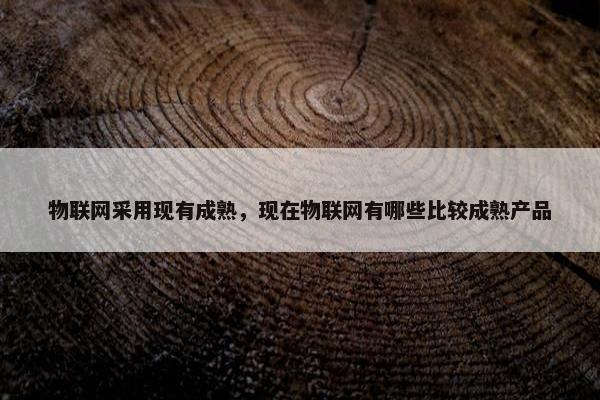 物联网采用现有成熟，现在物联网有哪些比较成熟产品
