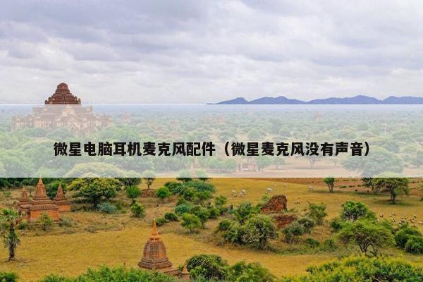 微星电脑耳机麦克风配件（微星麦克风没有声音）