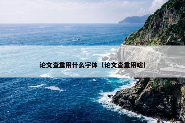 论文查重用什么字体（论文查重用啥）