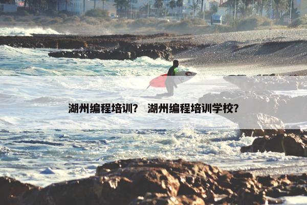 湖州编程培训？ 湖州编程培训学校？