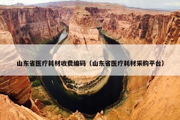 山东省医疗耗材收费编码（山东省医疗耗材采购平台）