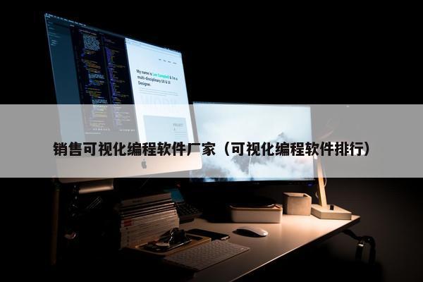 销售可视化编程软件厂家（可视化编程软件排行）