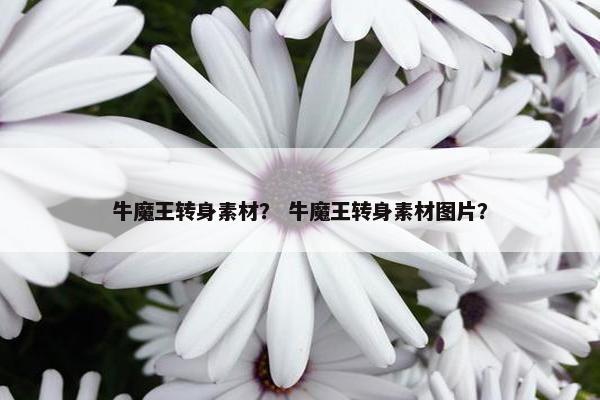 牛魔王转身素材？ 牛魔王转身素材图片？