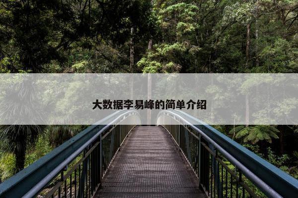 大数据李易峰的简单介绍