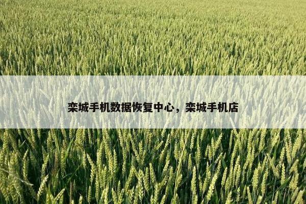 栾城手机数据恢复中心，栾城手机店