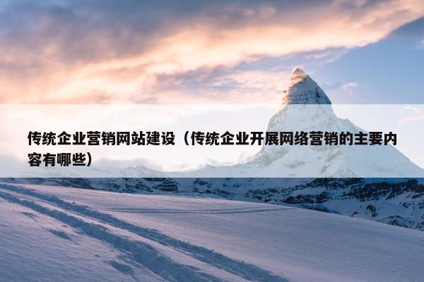 传统企业营销网站建设（传统企业开展网络营销的主要内容有哪些）